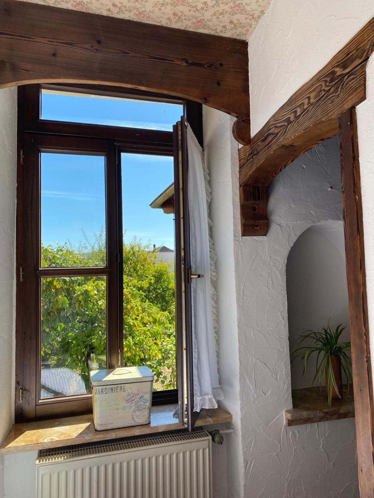 Apartmenthaus Eurenerstrasse 179 เทรียร์ ภายนอก รูปภาพ